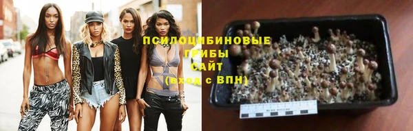 бутират Алексеевка