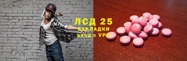 шишки Алексин