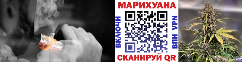 Марихуана сатива Новоузенск